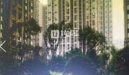 绿洲华府爆料最新消息,揭秘神秘项目背后的真相