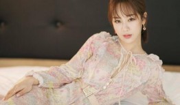 杨紫宇帆最新爆料,揭秘娱乐圈幕后真相
