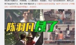 新军最新爆料视频播放,最新军事动态全解析